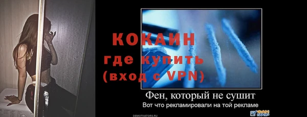 молекула духа Осинники