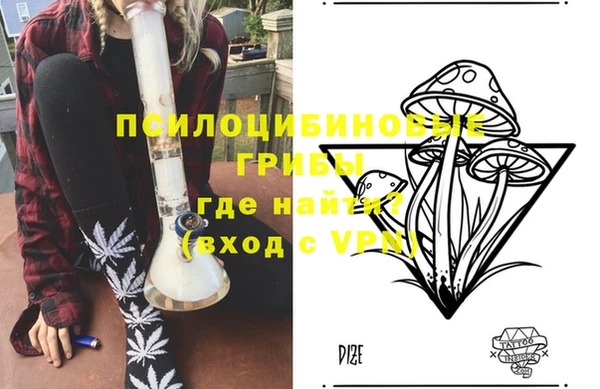 spice Осташков