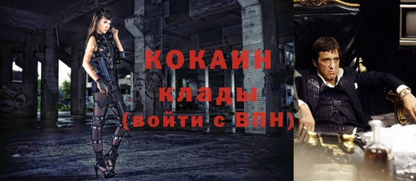 молекула духа Осинники