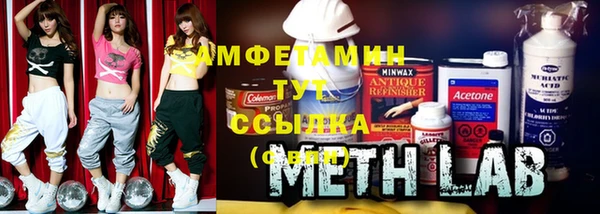 молекула духа Осинники