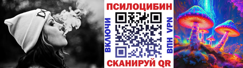 Псилоцибиновые грибы Psilocybe Пыть-Ях