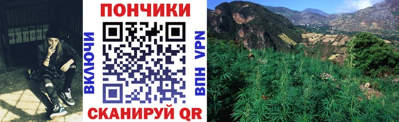 Марихуана индика Пыть-Ях
